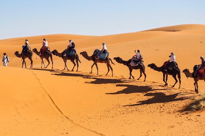 Fes To Marrakech : 3 Days Tour Via The Desert Of Merzouga & Camel - Day three: Ouarzazate, film history, and Ait Ben Haddou