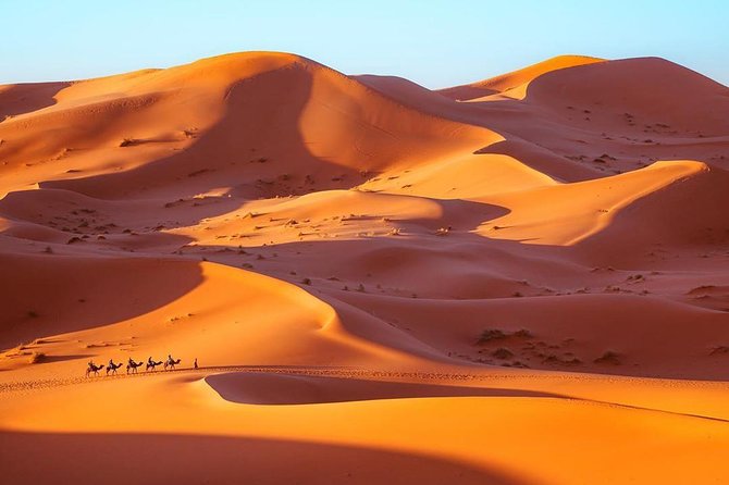 Fes to Marrakech desert tour 3 days - Should you book it?