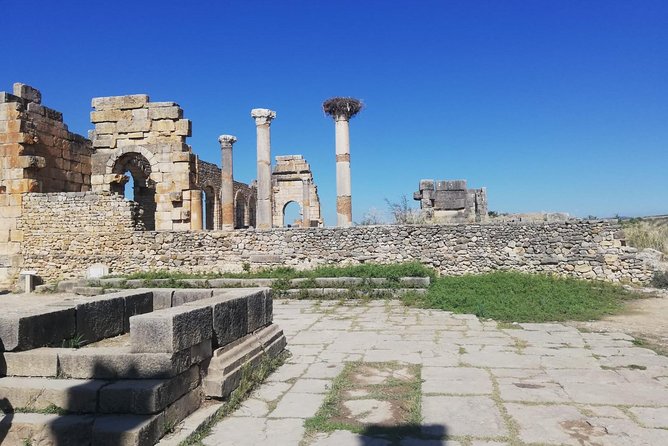 Fes to Volubilis, Moulay Idriss and Meknes Private Day Trip - Why this Fez day trip works