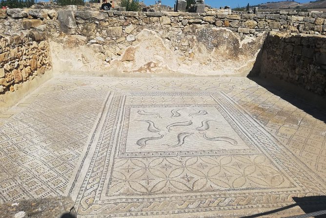 Fes to Volubilis, Moulay Idriss and Meknes Private Day Trip - One hour in sacred Moulay Idriss