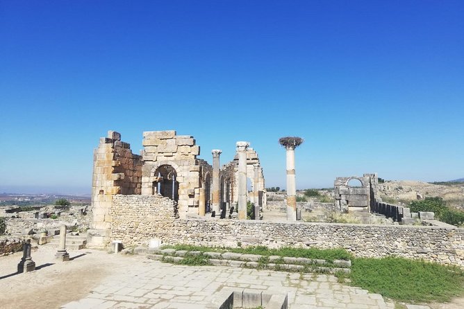 Fes to Volubilis, Moulay Idriss and Meknes Private Day Trip - Driver, guide, and language expectations