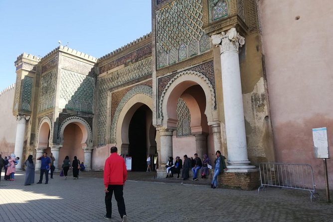 Fes to Volubilis, Moulay Idriss and Meknes Private Day Trip - Who should book this day out?