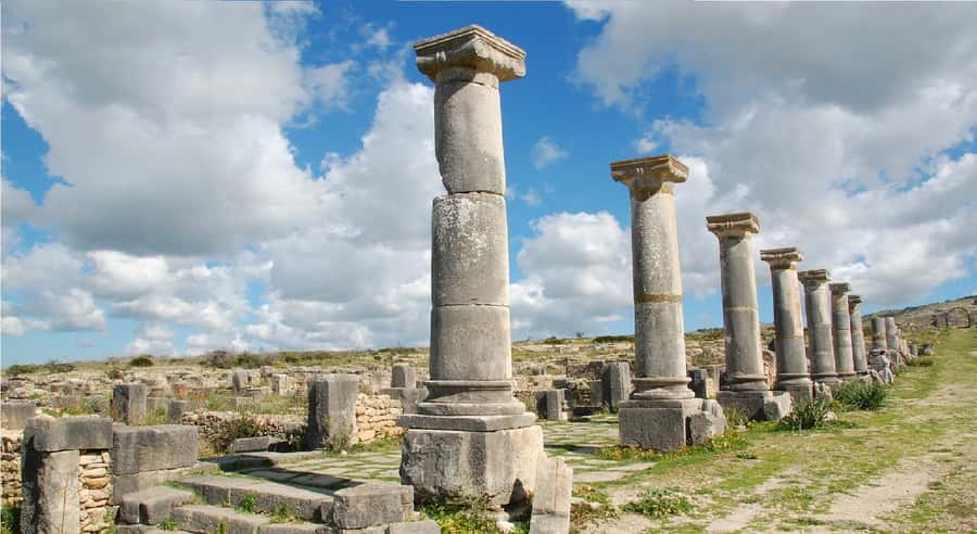 Fes: Volubilis Roman Ruins, Mouly Idriss, & Meknes Day Trip - Why this day trip works from Fes