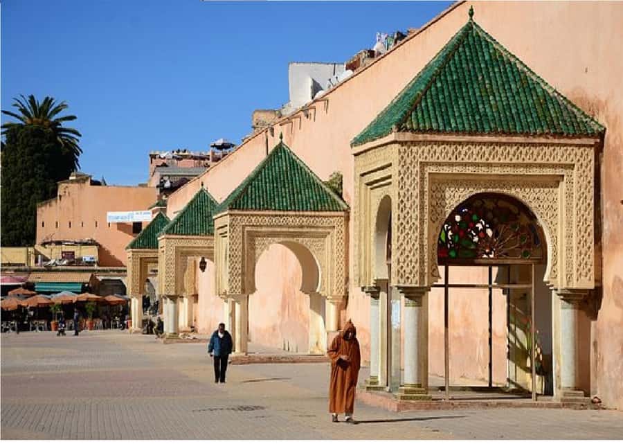 Fes: Volubilis Roman Ruins, Mouly Idriss, & Meknes Day Trip - Who should book this outing?