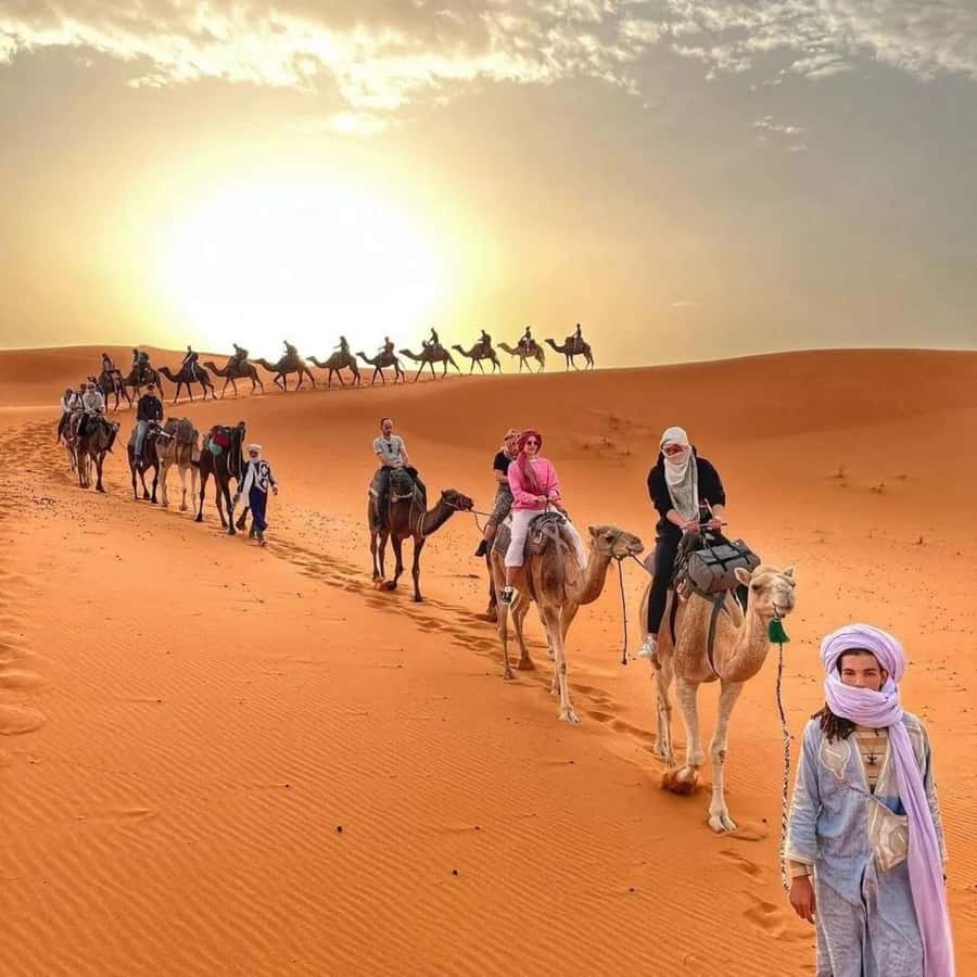 Fez: 2 Day-1 Night Luxury Sahara Desert Trip to Fez/Marakech - Is $159 a good value?