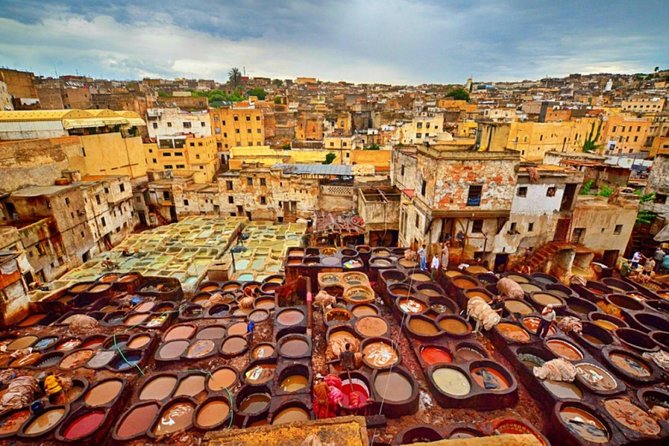 Fez Guided Tour with lunch from Casablanca - Art D’Argile reveals Fez’s mosaic craft
