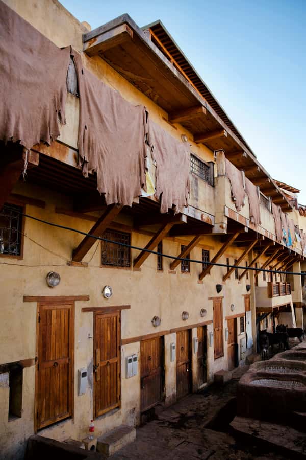 Fez: Guided Walking Tour of the Historic Medina - The guide makes the difference