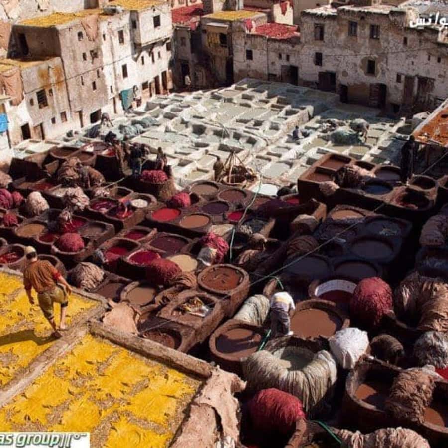 Fez: Guided Walking Tour of the Historic Medina - How much walking should you expect?