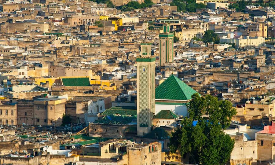 Fez: Half-Day Sightseeing Tour - Why a guided walk helps in Fez Medina