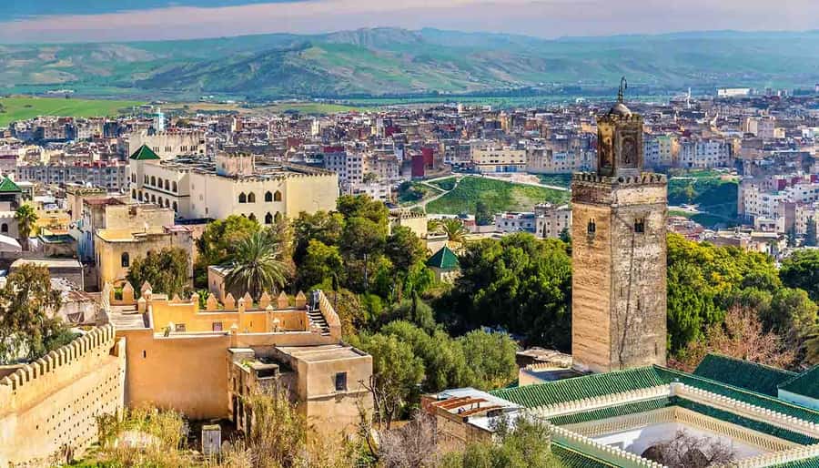Fez: Half-Day Sightseeing Tour - Qaraouiyine Mosque and university