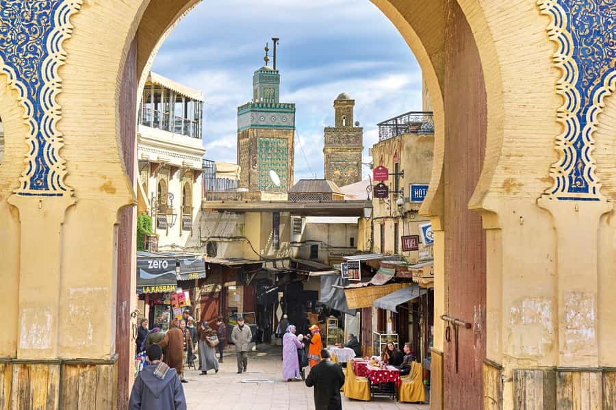 Fez: Half-Day Sightseeing Tour - The tannery is the visual high point