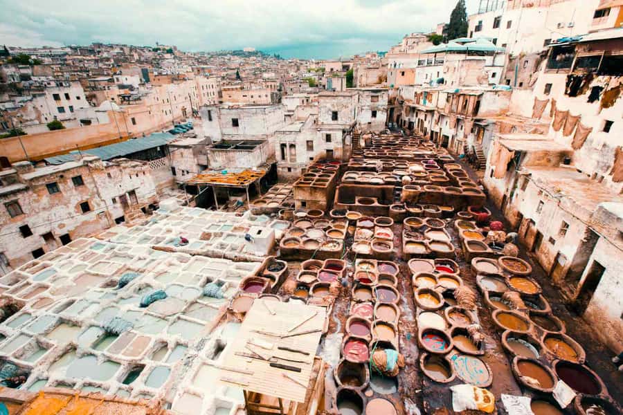 Fez: Half-Day Sightseeing Tour - Starting at Bab Boujloud