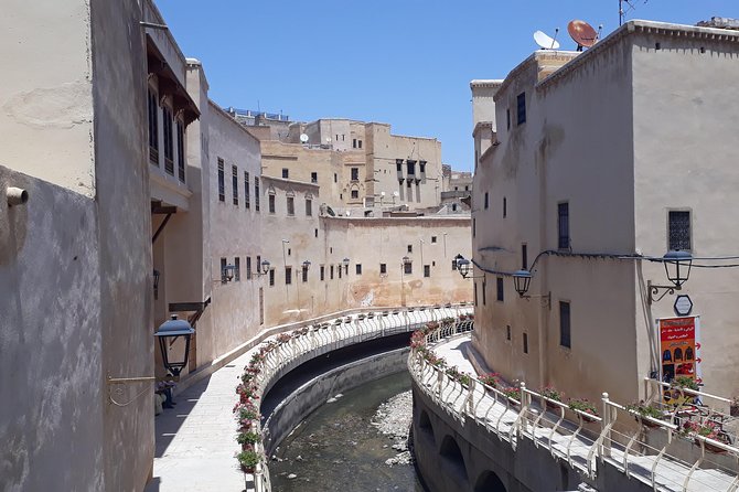 Fez Medina 4-Hour Guided Walking Tour - Chouara Tannery and the leather trade