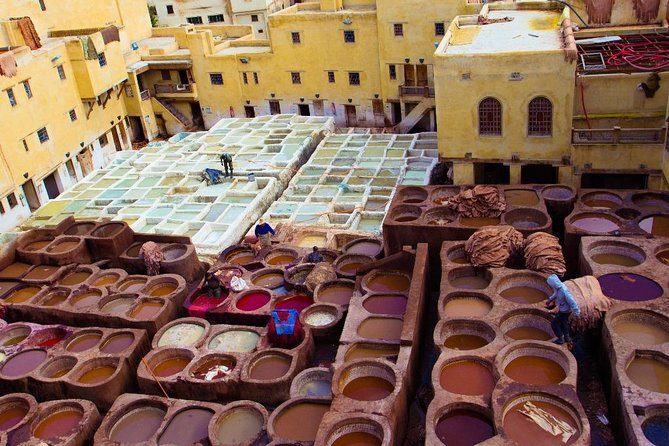 Fez Medina 4-Hour Guided Walking Tour - Ending at Bab Boujloud, the Blue Gate