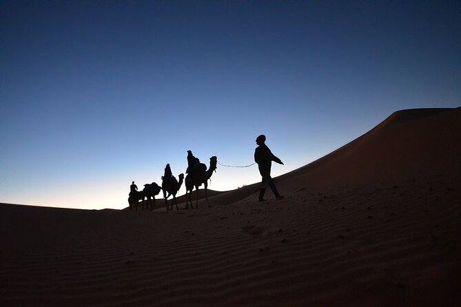 Fez to Marrakech via Merzouga Desert - 3 Day Desert Tour - Day three: Rose Valley, Skoura, and Ouarzazate