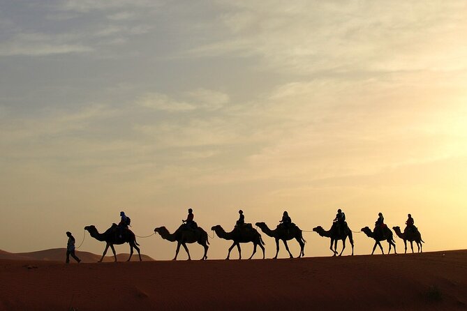 Fez to Marrakech via Merzouga Desert - 3 Day Desert Tour - What the $221 price really buys you