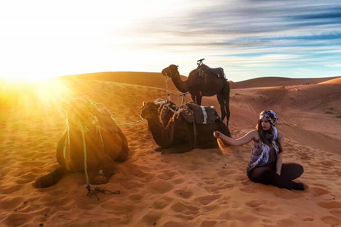 Fez to Marrakech via Merzouga Desert - 3 Day Desert Tour - Guides, communication, and the human factor