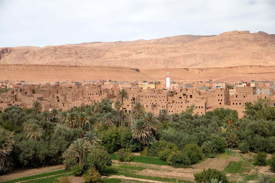 From Agadir : 3-Day Merzouga Desert Adventure - Arriving at Erg Chebbi by camel