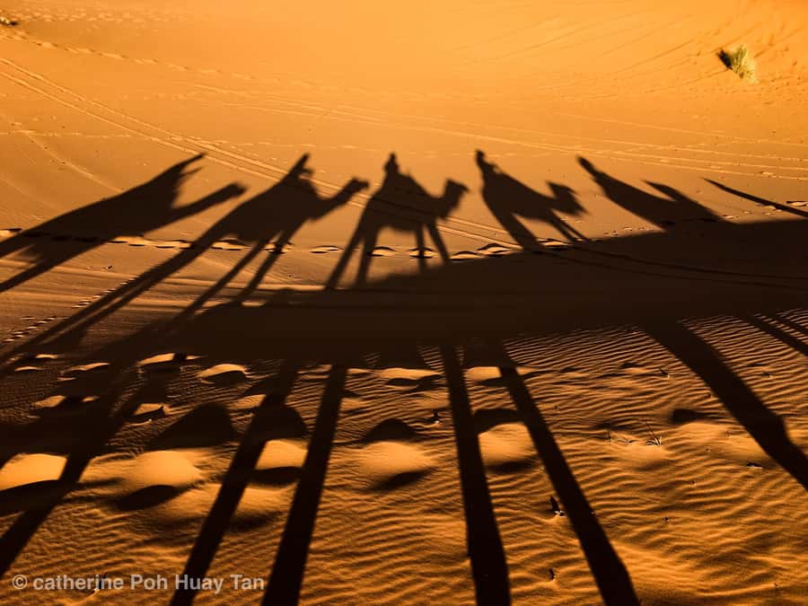 From Agadir: 4×4 Jeep Sahara Desert Tour with Lunch - What this Agadir day trip really is