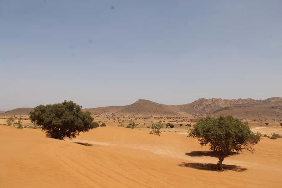 From Agadir: 4×4 Sahara Desert Safari with Lunch and Pickup - Should you book it?
