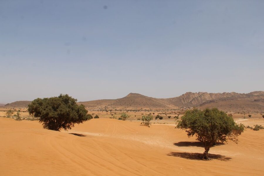From Agadir: 4×4 Sahara Desert Safari with Lunch and Pickup - What the customer score tells you