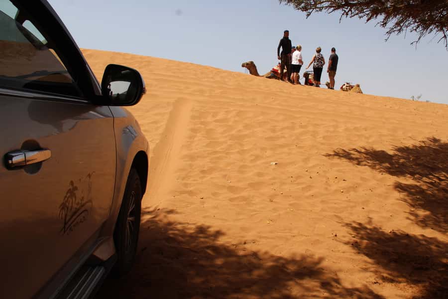 From Agadir: 4×4 Sahara Desert Safari with Lunch and Pickup - Who should book this Agadir excursion?