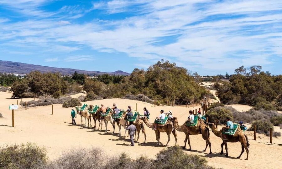 From Agadir: Camel Ride and Flamingo Trek - Key points to know before you book