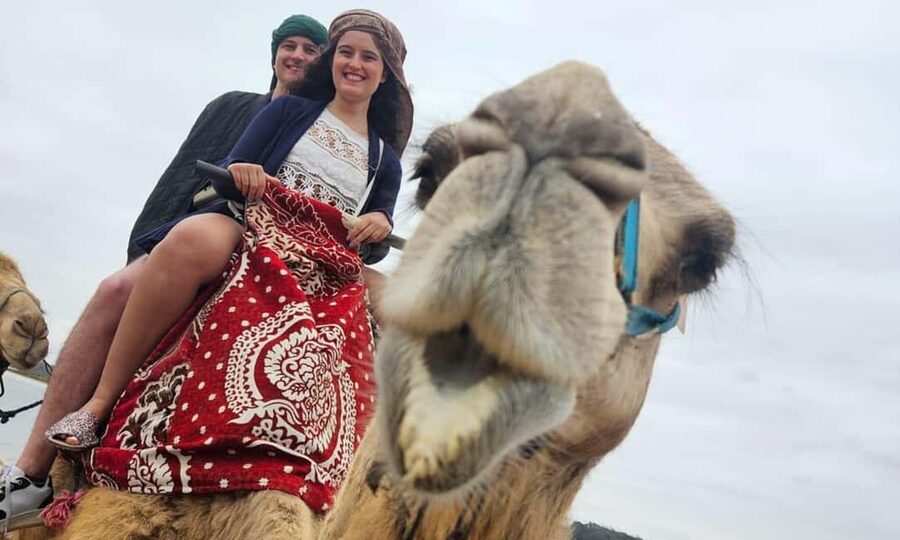 From Agadir: Camel Ride and Flamingo Trek - What this Agadir camel ride is really like