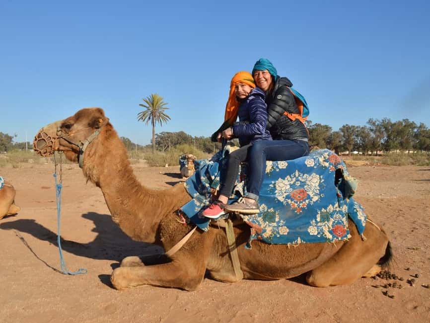 From Agadir: Camel Ride and Flamingo Trek - Meeting the camels and getting mounted