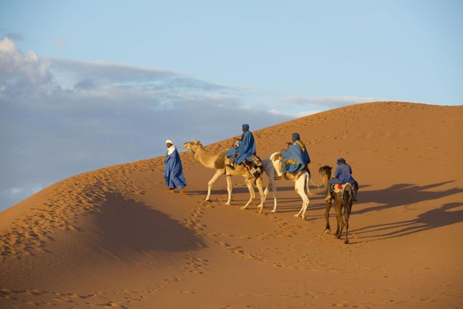 From Agadir: Camel Ride and Flamingo Trek - Through the forest toward the Souss river