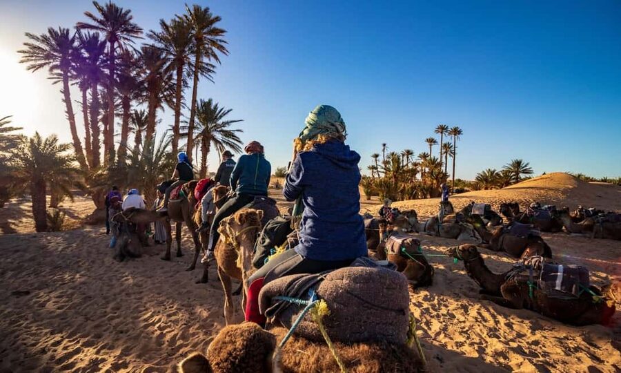 From Agadir: Camel Ride and Flamingo Trek - Is $19 good value?