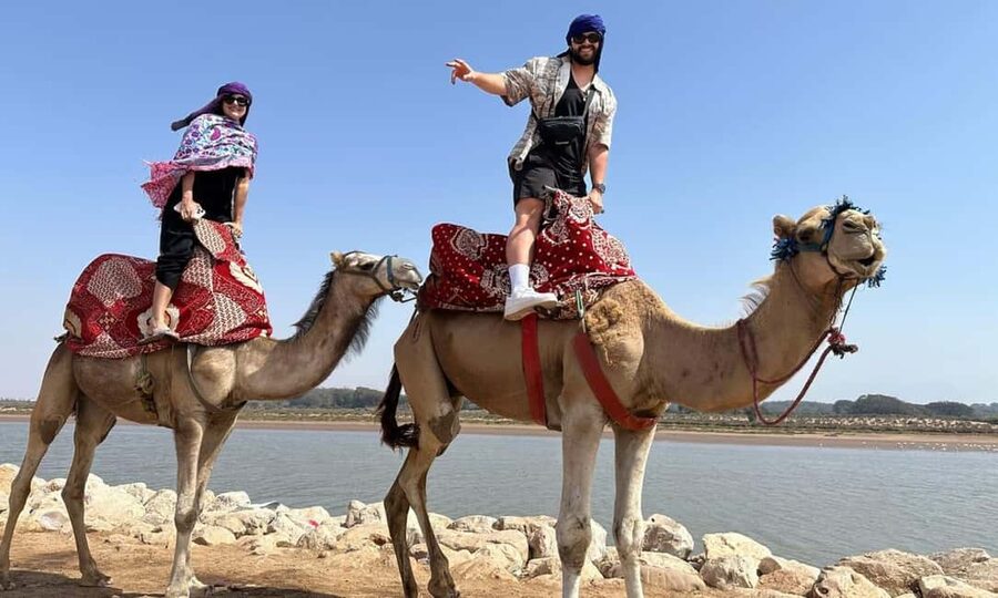 From Agadir: Camel Ride and Flamingo Trek - What to wear and bring