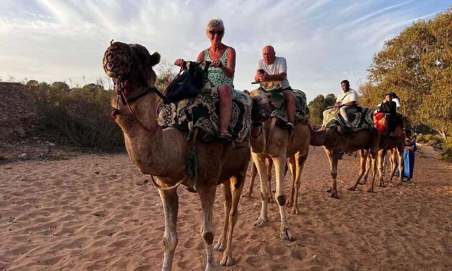 From Agadir: Camel Ride and Flamingo Trek - Pickup from Agadir and the short ride out