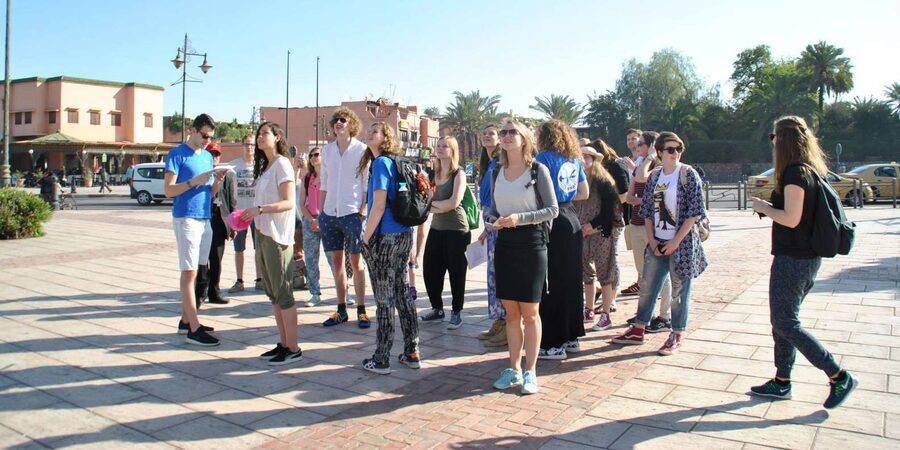 From Agadir: Guided Day Trip to Marrakech - Free time, lunch, and finding your way back