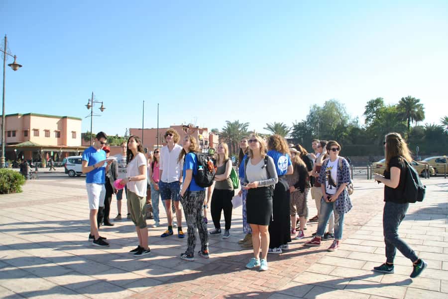 From Agadir: Guided Day Trip to Marrakech - The return to Agadir