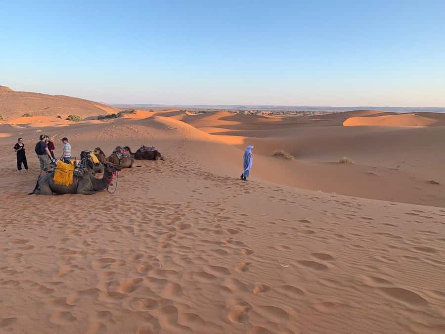 From Agadir: Jeep Desert Safari with Lunch and Camel Ride - How much value do you get for $56?