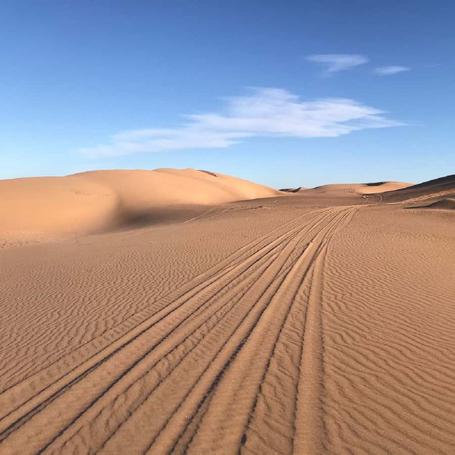 From Agadir: Jeep Desert Safari with Lunch and Camel Ride - Massa National Park and the Sous River