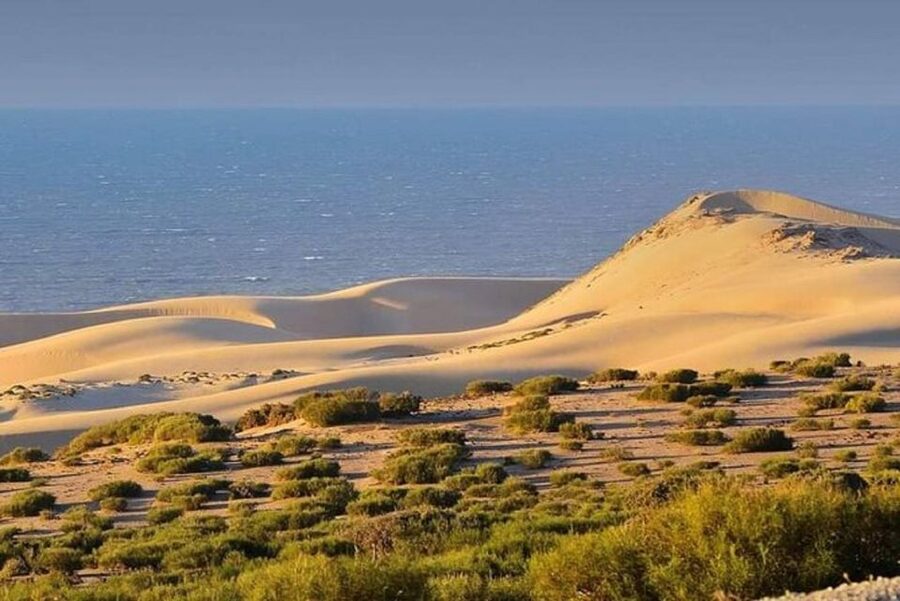 From Agadir: Jeep Desert Safari with Lunch and Camel Ride - Tiznit, the old walls, and Berber silver