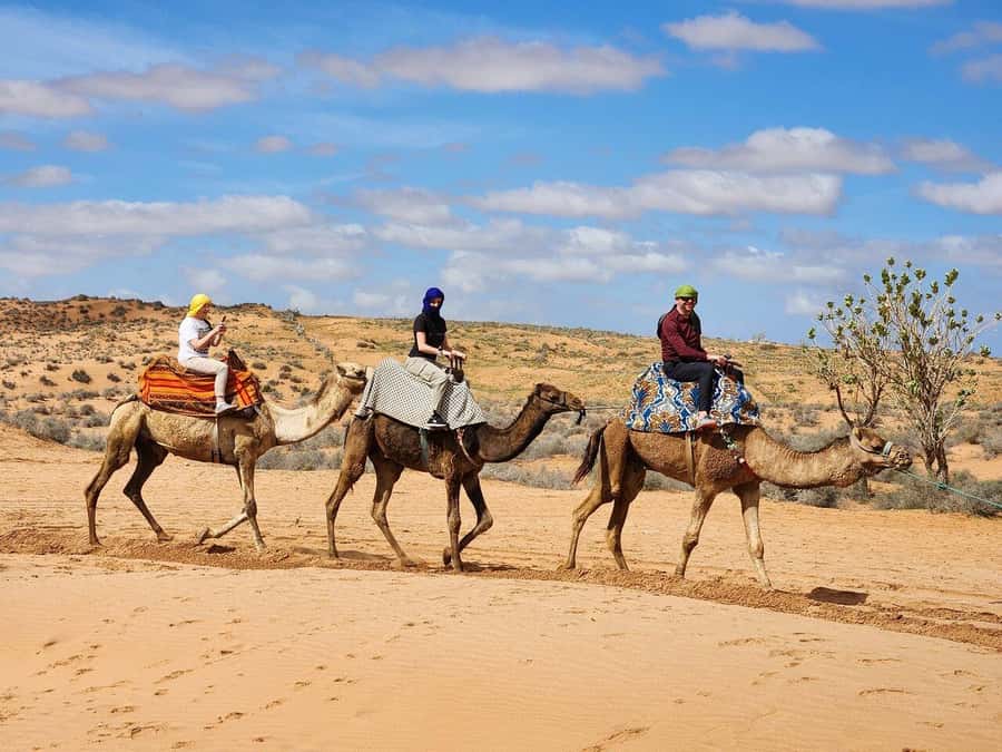 From Agadir: Jeep Desert Safari with Lunch and Camel Ride - The vehicle, group size, and pace