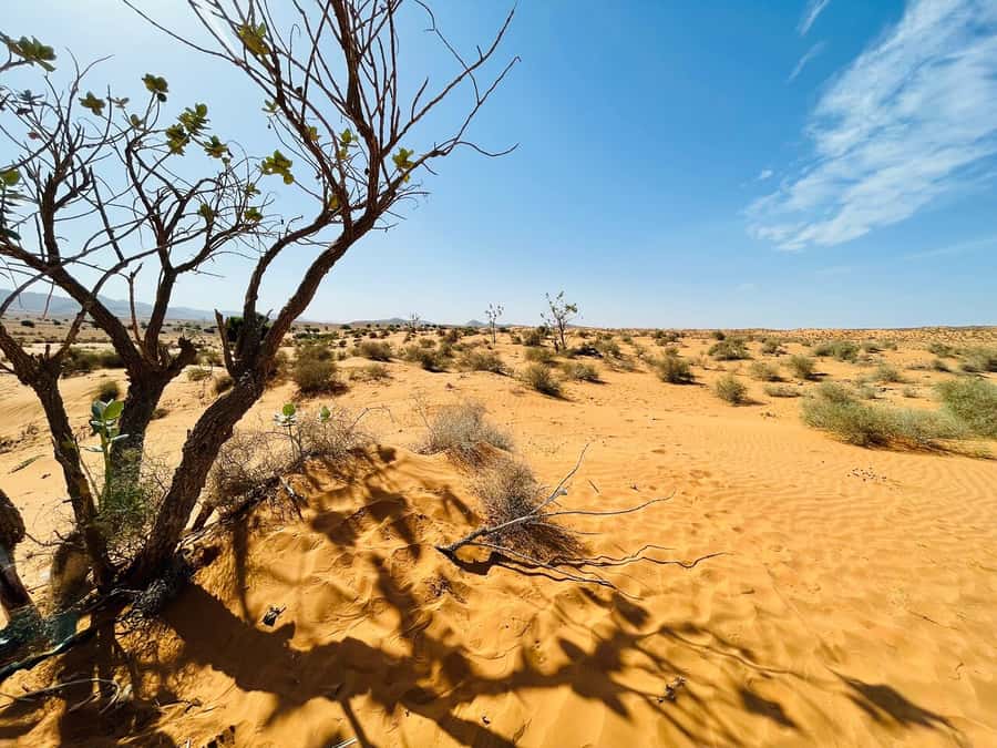 From Agadir: Jeep Desert Safari with Lunch and Camel Ride - Leaving Agadir for the Souss-Massa coast