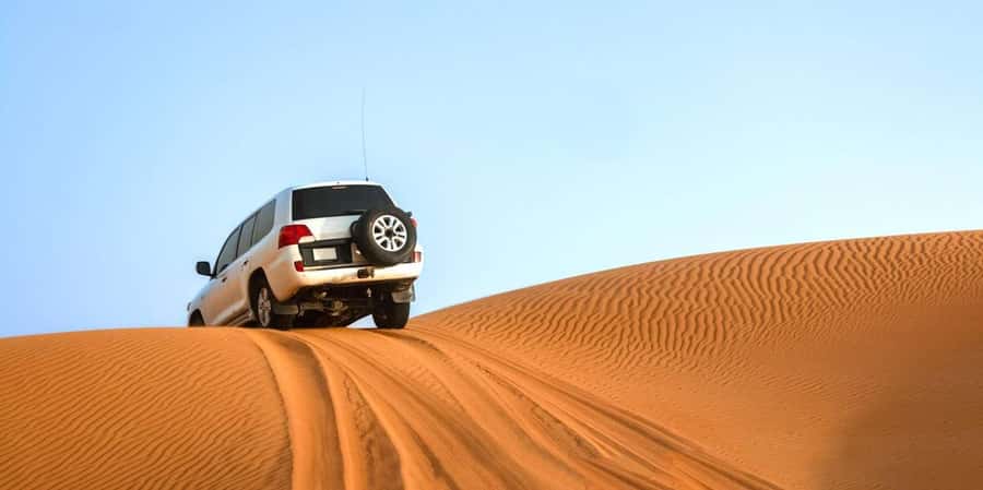 From Agadir: Mini Sahara Day Tour with Lunch - The Souss Massa River and its migrating birds