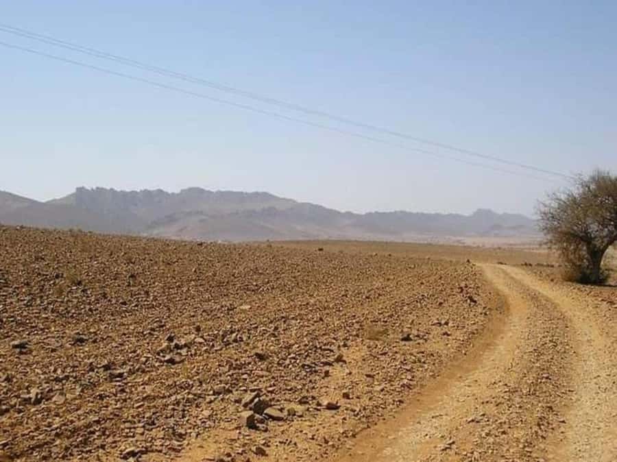 From Agadir: Mini Sahara Day Tour with Lunch - Rsmouka’s Small Sahara and the camel option