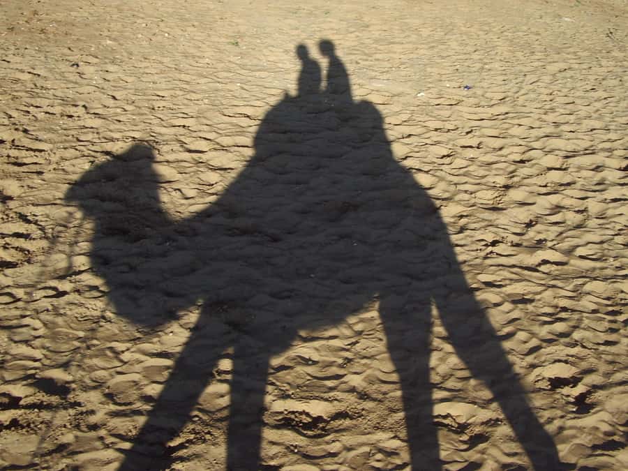 From Agadir or Taghazout: Camel Ride Berber Tour Experience - Who will enjoy this experience most