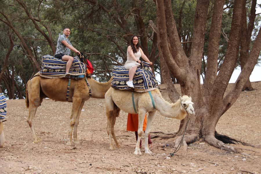 From Agadir or Taghazout: Camel Ride Berber Tour Experience - A camel ride beside the Souss River
