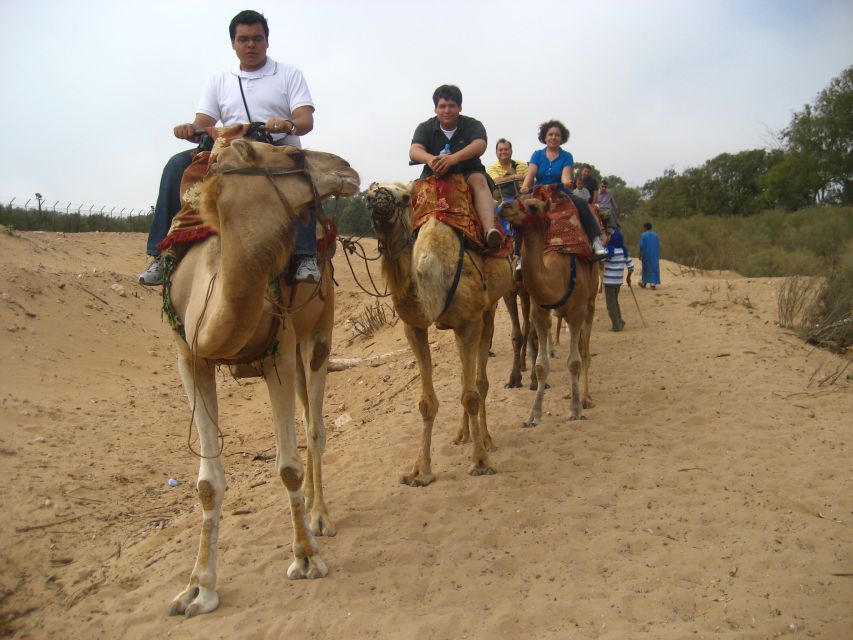 From Agadir or Taghazout: Camel Ride Berber Tour Experience - Sunset departures and the best light