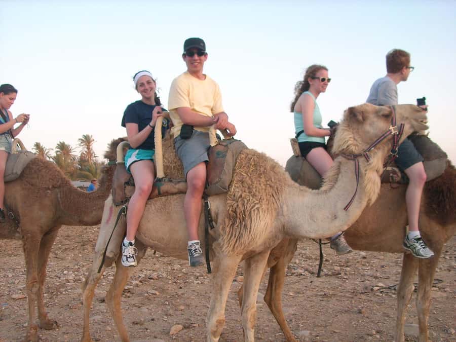 From Agadir or Taghazout: Camel Ride Berber Tour Experience - The return ride and Moroccan tea