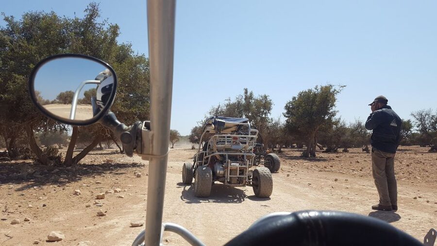 From Agadir or Taghazout: Desert Dunes Buggy Tour - Is $41 good value from Agadir or Taghazout?