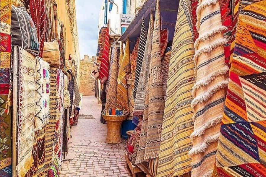From Agadir or Taghazout : Essaouira Day Trip - The Return to Agadir