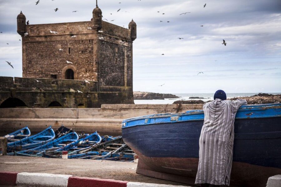 From Agadir or Taghazout: Essaouira Day Trip with Transfer - Should you book the Agadir to Essaouira day trip?
