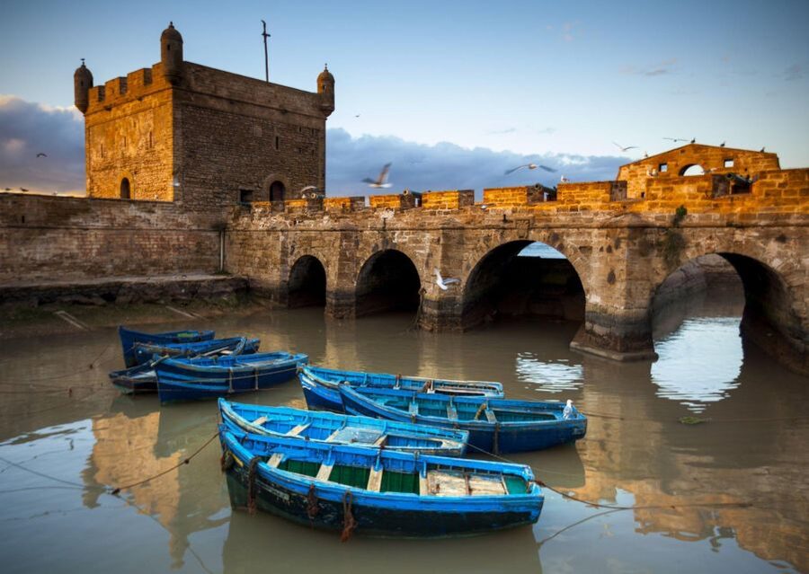 From Agadir or Taghazout: Essaouira Day Trip with Transfer - Free time: choose your Essaouira